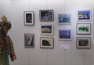 P1190463 copieexpow (1)