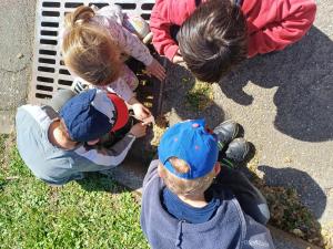 IMG-20240410-WA0017