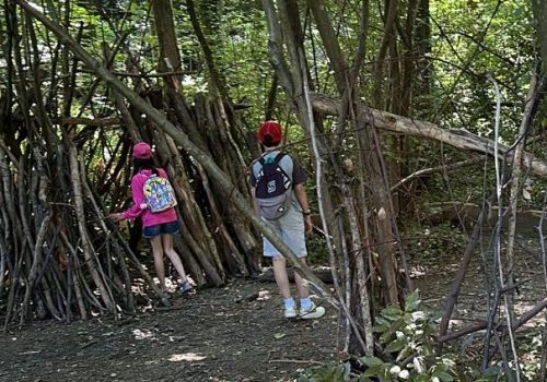parc de la trinitaire maison des jeunes et de la culture valence
